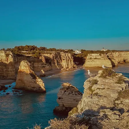 וילה Casa Jacaranda - Ocean View Modern