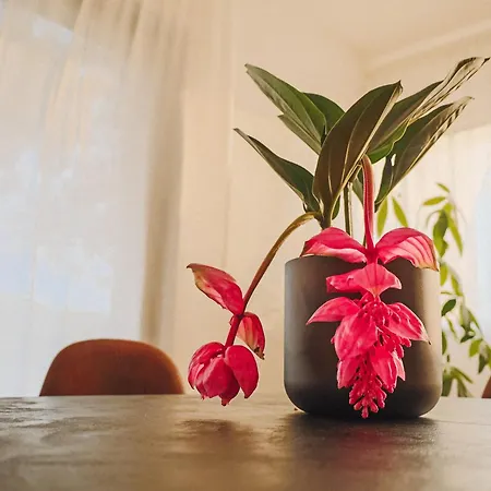 וילה Casa Jacaranda - Ocean View Modern