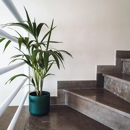 וילה Casa Jacaranda - Ocean View Modern אלבופיירה