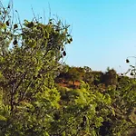 Casa Jacaranda - Ocean View Modern 알부페이라